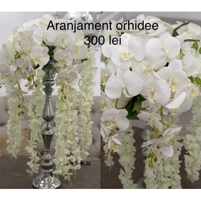 Aranjament orhidee diametru 30-40 cm