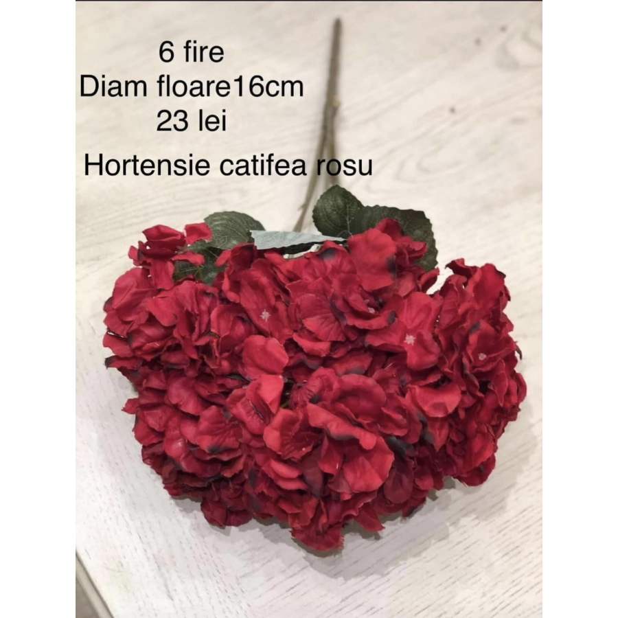 Buchet 6 fire hortensie catifea Roșu