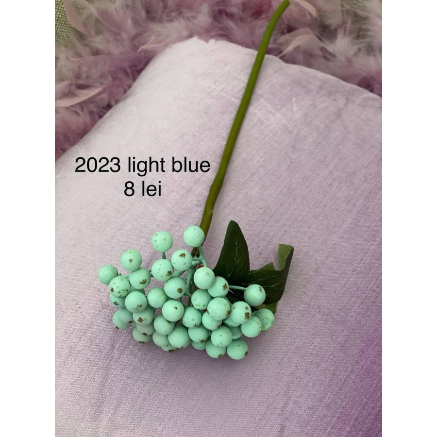 Buchet bobite cod 2023 Light blue