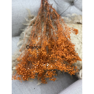 Buchet floarea miresei uscata cod 17 orange lungime 80-100 cm