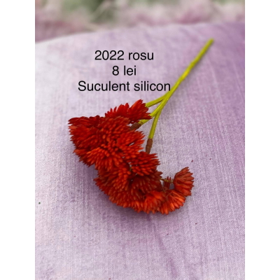 Buchet suculent silicon cod 2022 Red