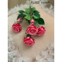 Crenguta 6 trandafiri cod FL003 Ciclam