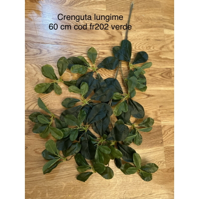 Crenguta ficus lungime 60 cm cod fr202 verde
