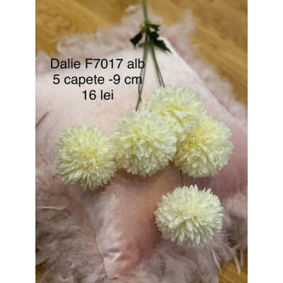 Crizanteme f7017 Alb