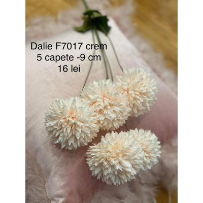 Crizanteme f7017 Crem