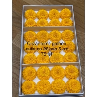 Crizanteme săpun galben