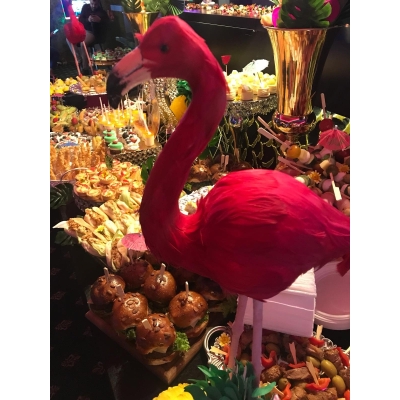 Flamingo pene fucsia inaltime 56 cm