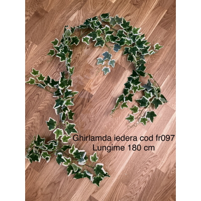 Ghirlanda iedera alb cu verde cod fr097 Lungime 180 cm