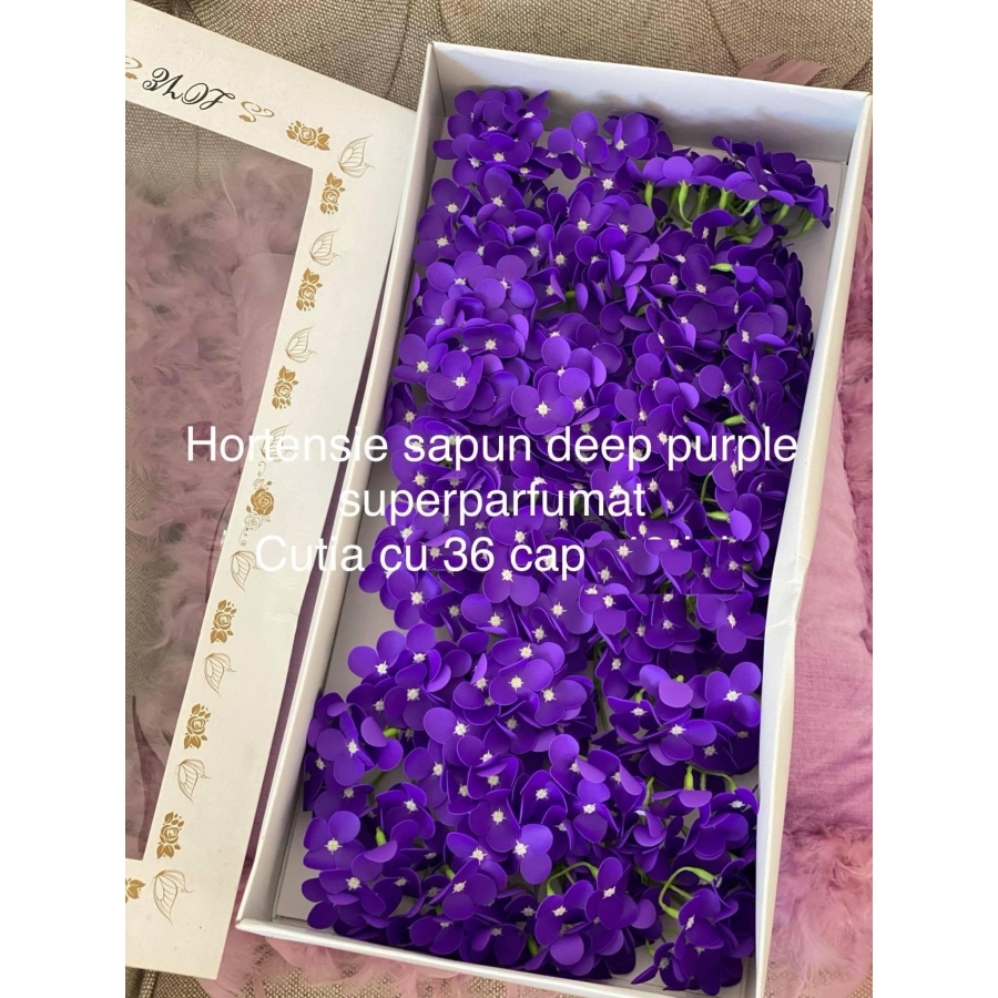 Hortensie săpun deep purple
