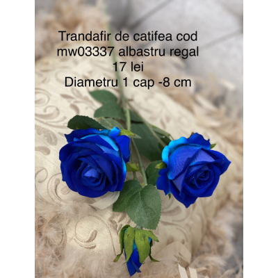 Trandafir catifea  mw03337 albastru regal