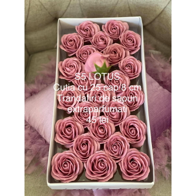 Trandafiri de sapun 8 cm s5  Lotus