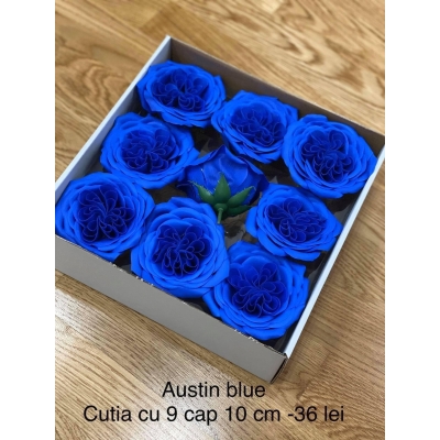 Trandafiri de sapun Austin  blue