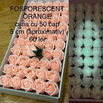 Trandafiri de săpun Fosforescent Orange