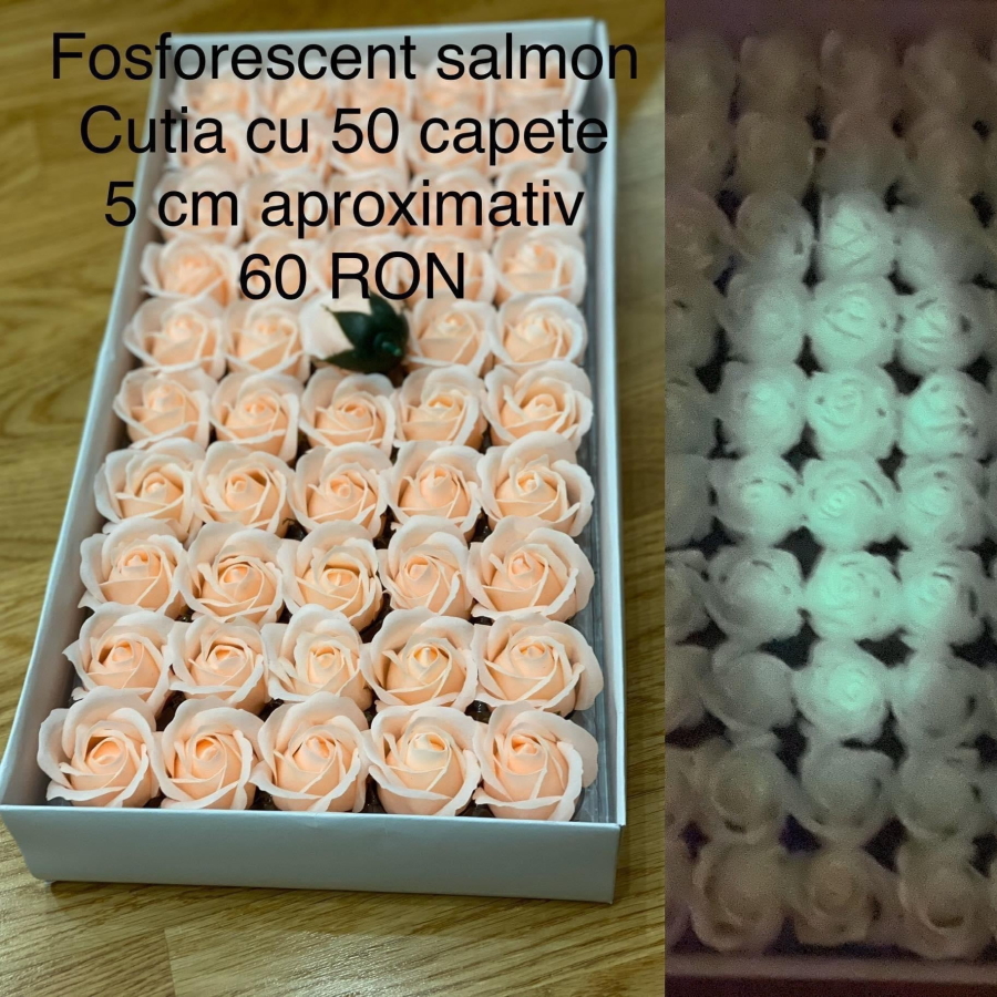 Trandafiri de săpun Fosforescent Salmon