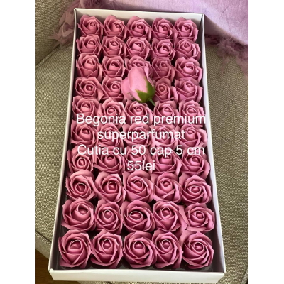 Trandafiri de săpun premium superparfumați (nr 33) Begonia red