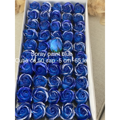 Trandafiri de săpun sidefați cu praf de sclipici  Spray paint blue