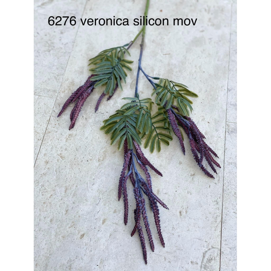 Veronica mov cod 6276