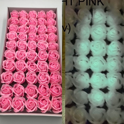 Trandafiri de săpun Fosforescent pink