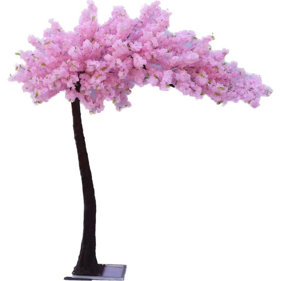 Copac cires Canopy 3m roz