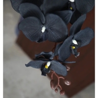 Orhidee material textil negru