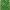 Covor verdeata cod 0027 white green dimeniune 40cm x 60 cm