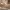 Canapele de Lux Eventimag